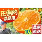 ふるさと納税 果物類 みかん 長崎県 南島原市 みかん 2026年10月下旬〜発送 温州みかん 10kg ／ みかん ミカン 蜜柑 フルーツ 果物 くだもの 柑橘 旬 果実 甘…