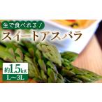 野菜類 アスパラガス アスパラ 2027年8月~発送