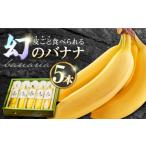 果物類 皮ごと食べられる なかなかバナナ 5本