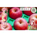 ふるさと納税 りんご 長野県 飯綱町 りんご サンふじ 訳あり 5kg ファームたんぽぽ 沖縄県への配送不可 2025年12月上旬頃から2025年12月下旬頃まで順次発送予…