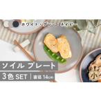 食器 グラス 小皿 美濃焼 ソイル プレート 小