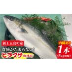 旬の鮮魚等 コリコリ食感がたまらない 養殖