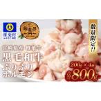 牛肉 ホルモン 椎葉牛 ぷりぷりホルモン 小腸