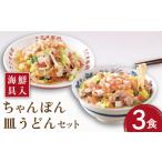 麺類 具入 ちゃんぽん 皿うどん セット 計 12食