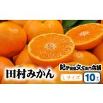 果物類 みかん 完熟 アルギット 10kg