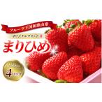 ふるさと納税 いちご 和歌山県 すさみ町 先行予約 和歌山オリジナルブランドいちご「まりひめ」約250g×4パック / イチゴ 苺 ストロベリー フルーツ 果物 …