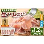 産豚生ハム切り落としセット 200g×6P