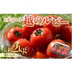 ミディトマト 越のルビー 約2kg