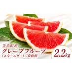 みかん 柑橘類 2027年 産グレープフルーツ