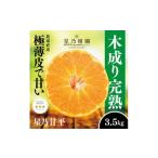 ふるさと納税 みかん・柑橘類 愛媛県 八幡浜市 星乃みかん園の星乃甘平(3.5kg) D45-46 1339329
