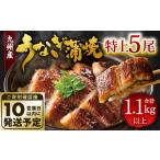 ふるさと納税 うなぎ 福岡県 北九州市 九州産 うなぎ 蒲焼 特上 5尾 計1.1kg以上 (1尾あたり220〜235g)
