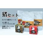 加工品等 レトルト イノシシ肉使用 スパイス猪カレー