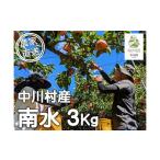 ふるさと納税 梨 長野県 中川村 農家直送 桃沢農園のなし(南水)約3Kg