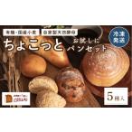 パン お試しちょこっとパンセット 5種入り