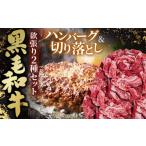 牛肉 セット 黒毛和牛欲張り2種セット 冷凍