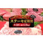 牛肉 サーロイン 全3回定期便 極上 壱岐牛