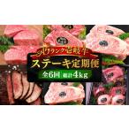 牛肉 サーロイン 全6回定期便 極上 壱岐牛