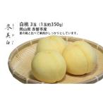 ふるさと納税 もも 岡山県 赤磐市 桃 2026年 先行予約 白桃 冬美白 とうびはく 3玉 1玉約350g もも モモ 令和7年 岡山 赤磐市産 国産 フルーツ 果物 ギフト 果…
