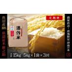 ふるさと納税 米 新潟