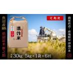 ふるさと納税 米 新潟