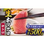 マグロ 全6回定期便 ながさき水産業大賞受賞