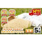 ふるさと納税 玄米 鹿児島県 伊佐市 isa400 14営業日以内に発送 令和7年産 特別栽培米 永池ひのひかり玄米(5kg) 鹿児島 永池 お米 米 玄米 伊佐米 九州米サミ…
