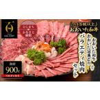 ふるさと納税 大分県 日出町 おおいた 和牛 と 地鶏 の バラエティー 焼肉セット 合計900g つけダレ付 日出町 【1343943】