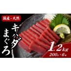 マグロ まぐろ刺身 キハダマグロ 冷凍 短冊