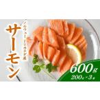 魚貝類 サーモン 刺身 短冊 約600g