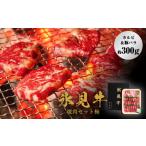 牛肉 焼肉 バーベキュー 氷見牛焼肉セット梅