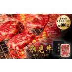 牛肉 焼肉 バーベキュー 氷見牛焼肉セット松