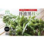 豆類 大豆 丹波黒枝豆 枝付き 3kg