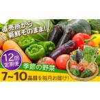 セット 詰合せ 野菜定期便 12回定期便 直売所より発送