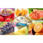 ショッピングふるさと納税 定期便 ふるさと納税 果物の詰合せ 長崎県 南島原市  6回定期便 Bコース フルーツ定期便 旬のフルーツセット ／ フルーツ 定期便 ふるーつ定期便 フルーツ 詰め合わせ…