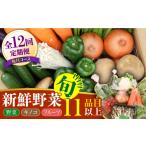 セット 詰合せ 野菜定期便 12回定期便 野菜 キノコ 果物 11品目 詰め合わせ