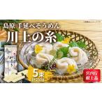 島原手延べそうめん 川上の糸 250g1袋 50g×5束