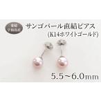 アクセサリー ピアス \10営業日以内発送
