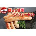 肉 ソーセージ 鶏肉 地鶏 媛っこ地鶏 ウインナー