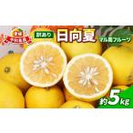 ふるさと納税 果物類 みかん 愛媛県 宇和島市 訳あり 日向夏 みかん 5kg マル南フルーツ 先行予約 不揃い サイズ混合 わけあり 果物 くだもの フルーツ 柑橘 …