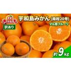 ふるさと納税 果物類 みかん 愛媛県 宇和島市 蜜柑 訳あり みかん 南柑20号 9kg マル南フルーツ わけあり 先行予約 温州みかん 温州蜜柑 愛媛みかん 愛媛ミカ…