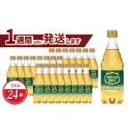炭酸飲料 カナダドライジンジャーエール