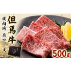 牛肉 焼肉 バーベキュー 但馬 太田牛 訳あり