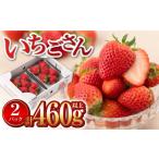 いちご 白石産いちご いちごさん 約230g×2パック