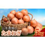 ふるさと納税 野菜類 玉ねぎ 北海道 南幌町 北海道産 「山本農園のたまねぎ」L大サイズ前後 5kg 南幌町産 玉ねぎ タマネギ 玉葱 NP1-161