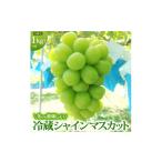 ふるさと納税 ぶどう マスカット 長野県 坂城町 No.5729-0438 年内お届け シャインマスカット 冷蔵 1kg以上 富山葡萄園 ぶどう 長野 マスカット ブドウ フル…