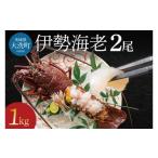 ふるさと納税 エビ 伊勢エビ 茨城県 大洗町 生冷凍 伊勢海老 2尾 1kg 冷凍 国産 伊勢エビ イセエビ いせえび 海老 エビ えび おせち 刺身 焼き物 味噌汁
