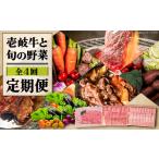 牛肉 ロース 全4回定期便 壱岐牛と旬の野菜定期便