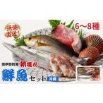 旬の鮮魚等 冷蔵 漁協直送 6~8種 朝獲れ鮮魚セット