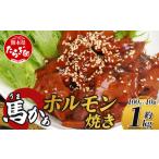 馬肉 馬ホルモン 馬かぁ ホルモン焼 10個セット 約1kg