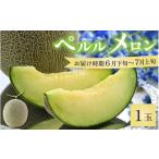 ふるさと納税 メロン メロン青肉 福井県 あわら市  先行予約 ペルルメロン 1玉（約2kg以上）青肉品種 高級メロン ／ マスクメロン 大玉 果物 フルーツ ギフト …